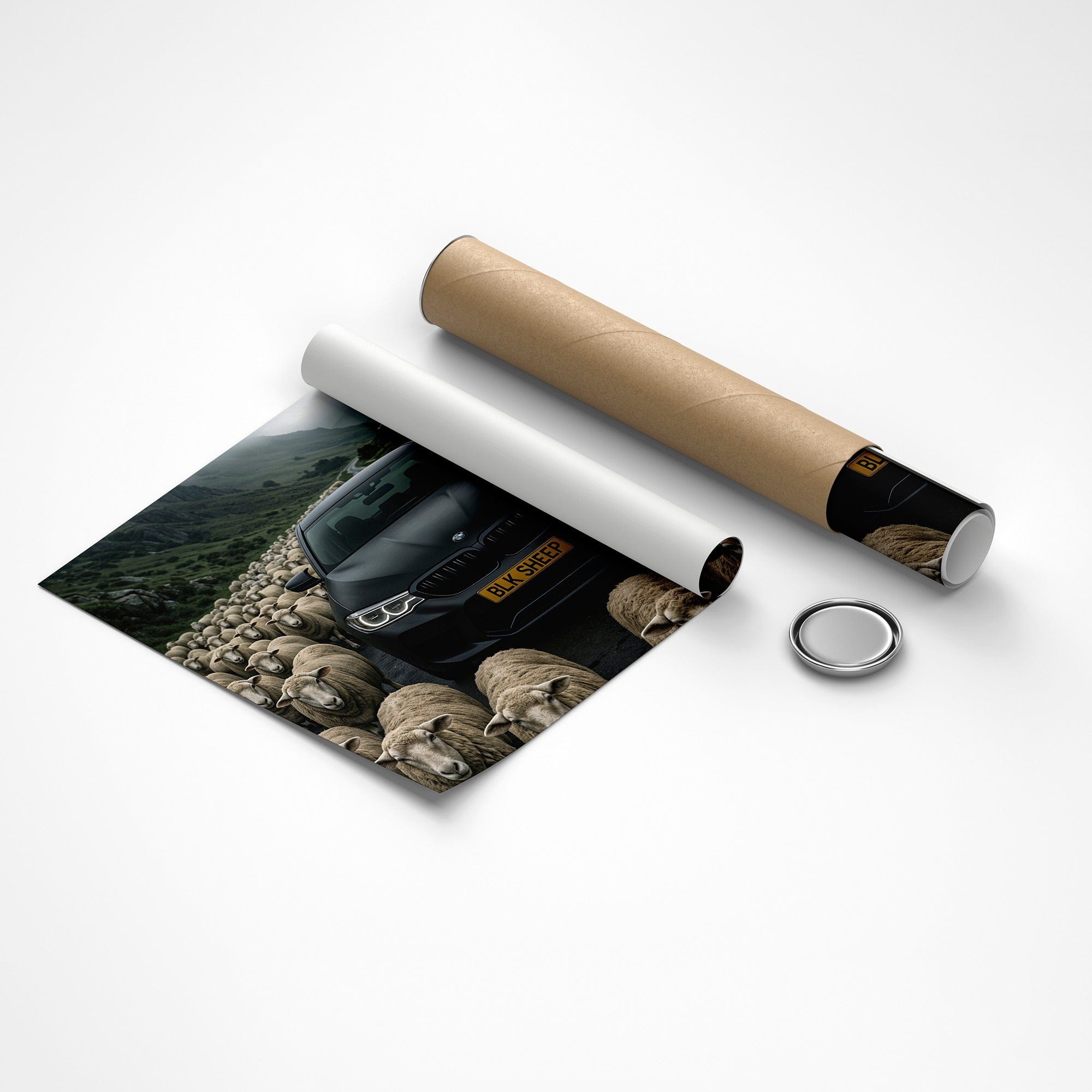 BMW - Born to Stand Out Canvas