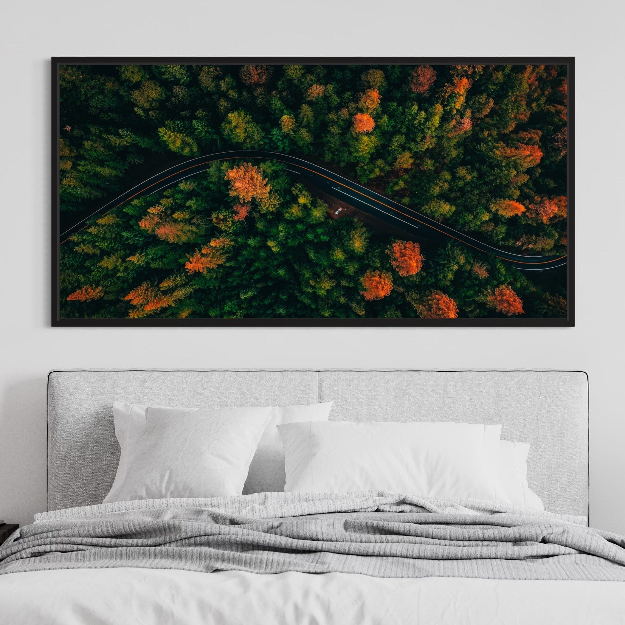 Autumn Canopy Road Canvas Print