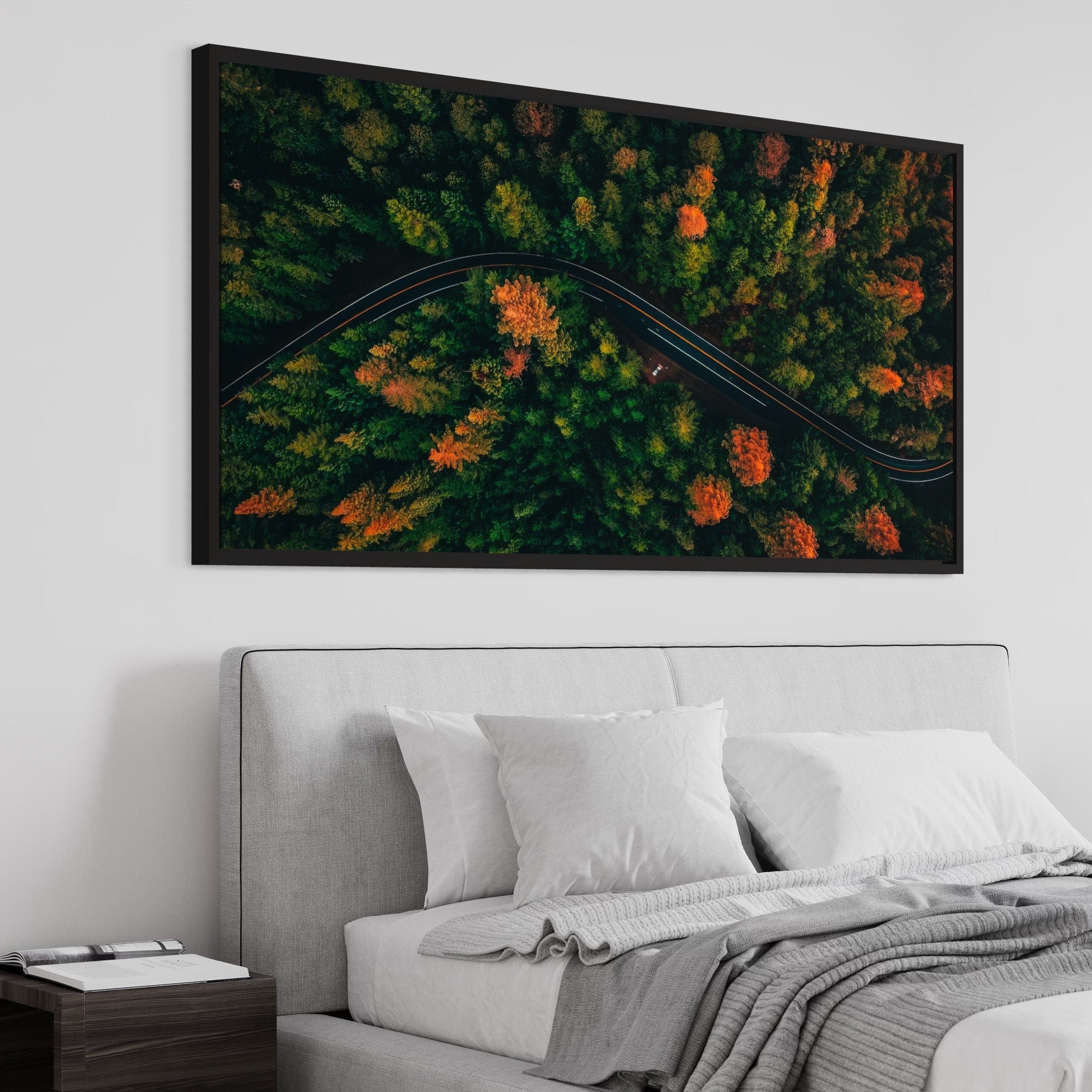 Autumn Canopy Road Canvas Print