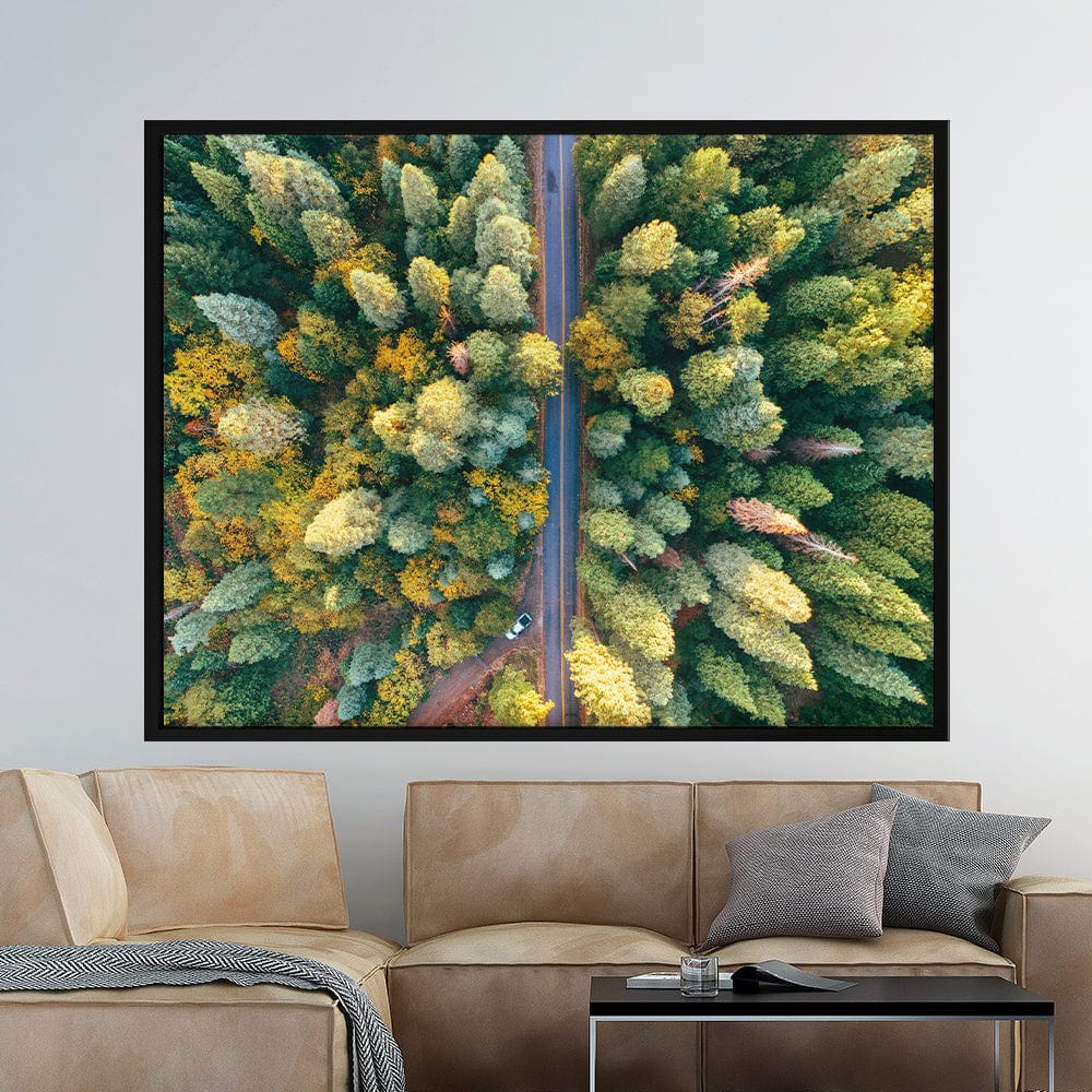 Forest Road Canvas Print