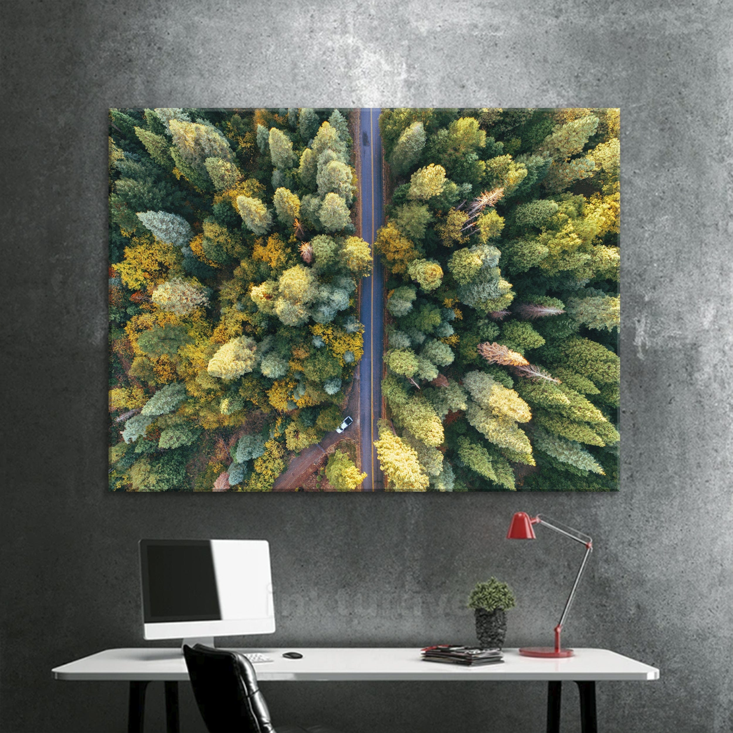 Forest Road Canvas Print