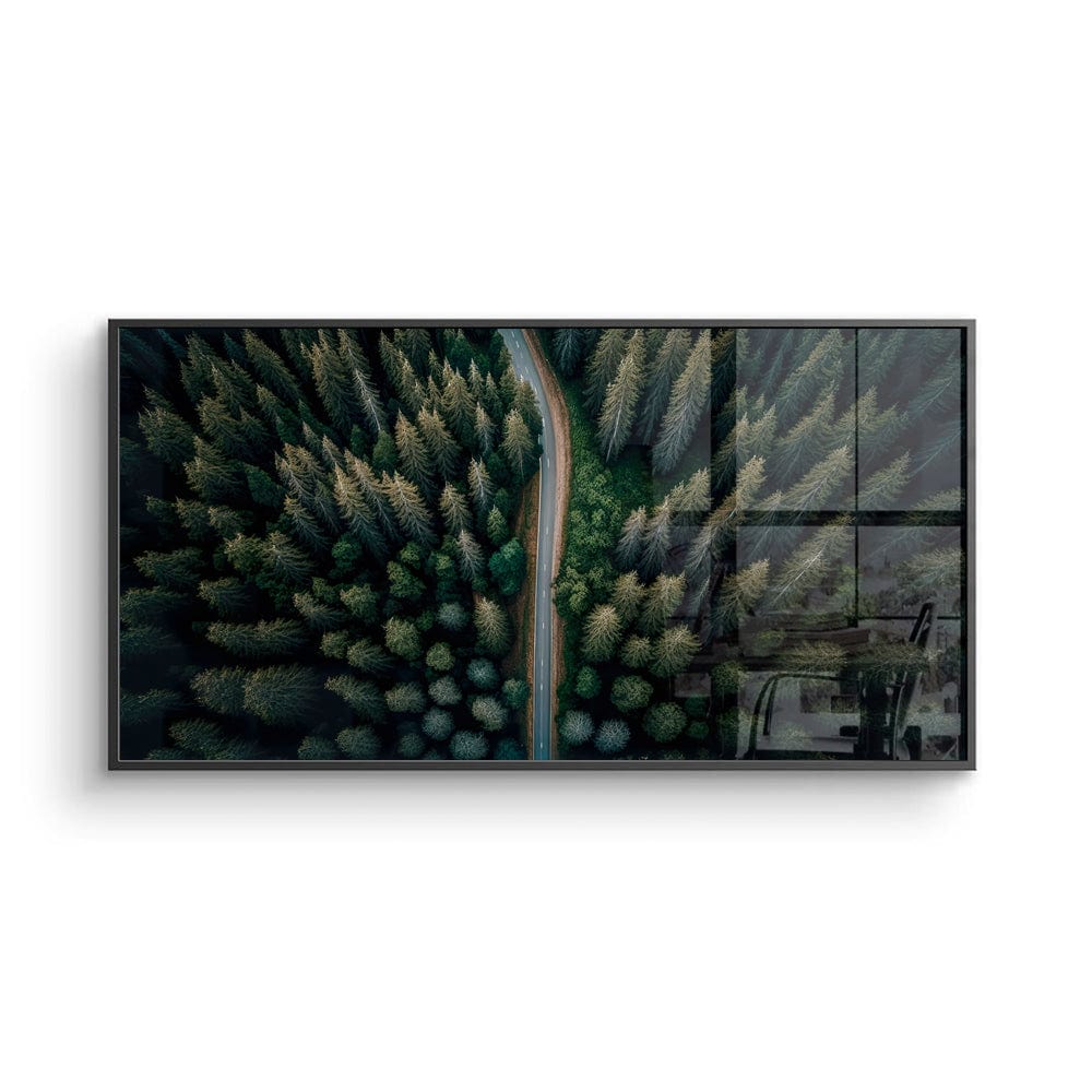 Road In The Pine Forest Canvas Print