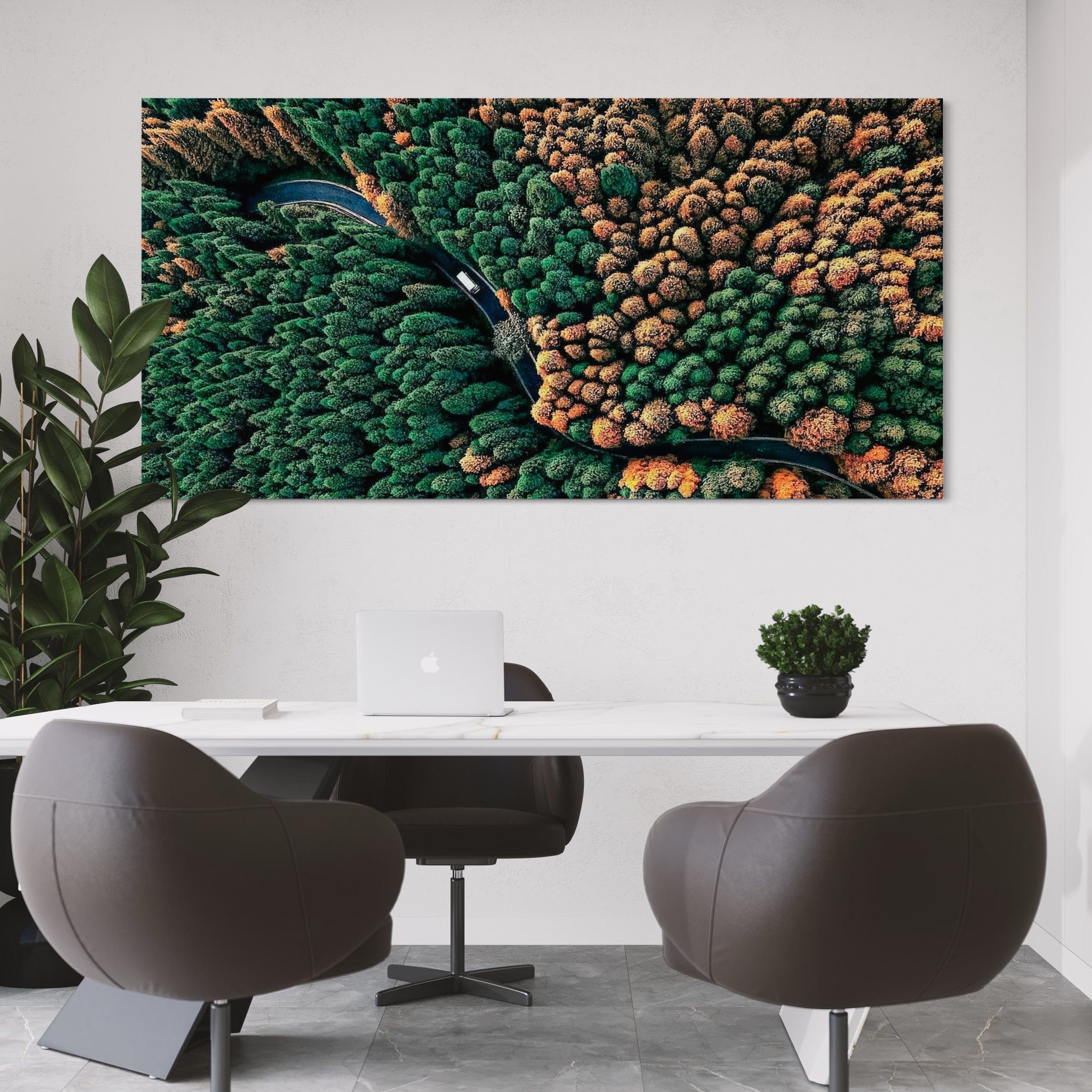 The Heart of the Woods Canvas