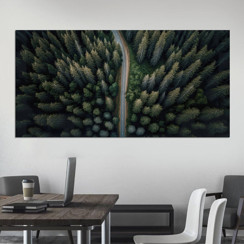 Road In The Pine Forest Canvas Print