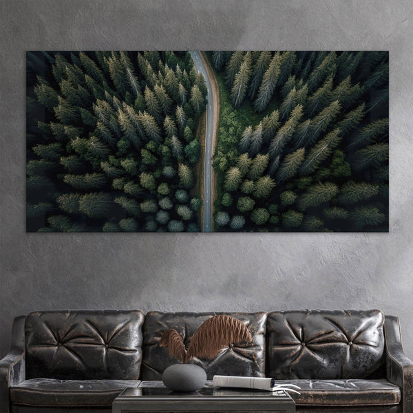 Road In The Pine Forest Canvas Print