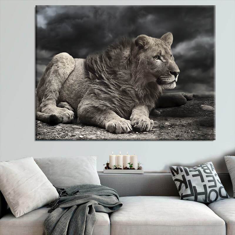 Fog Lion Canvas