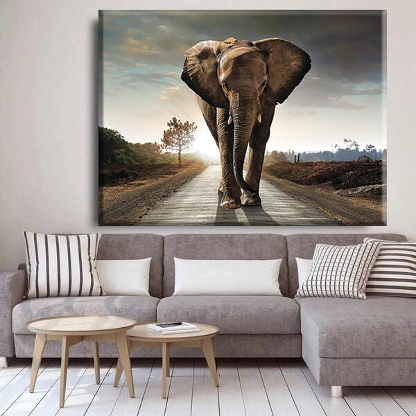 Road for Elephant Canvas