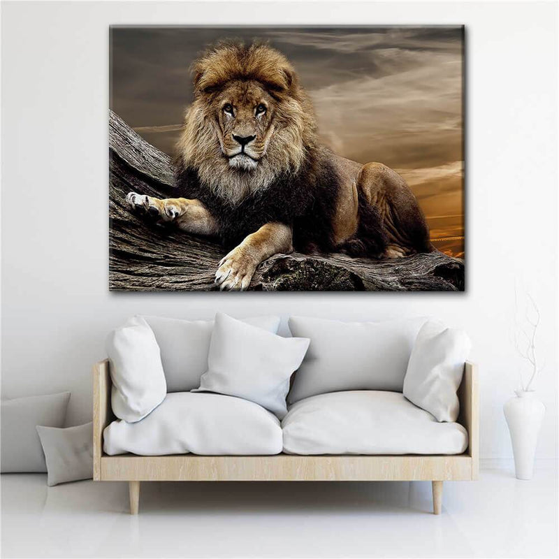 Sunset Lion Canvas