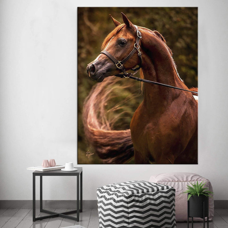 Red Horse Canvas