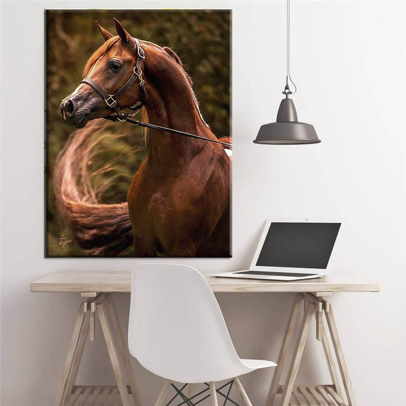 Red Horse Canvas