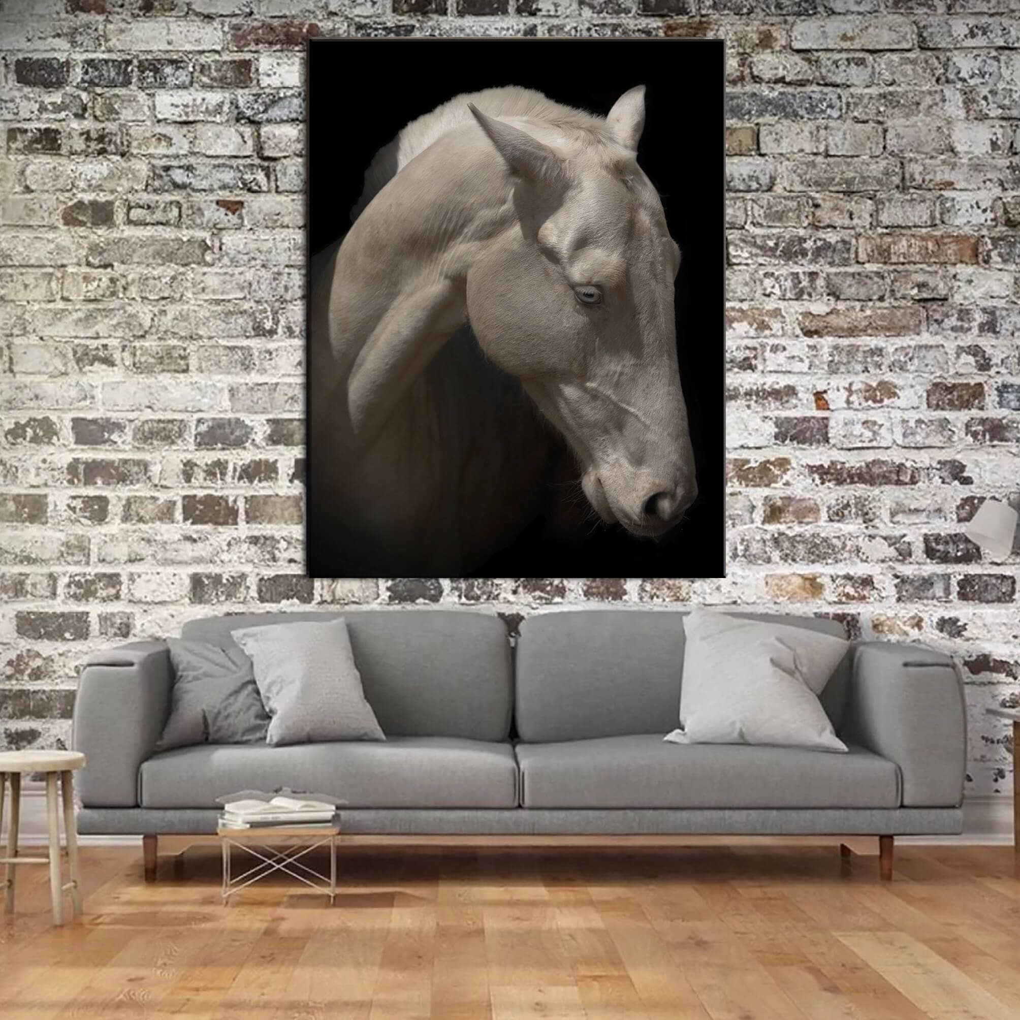 Albino Horse Canvas