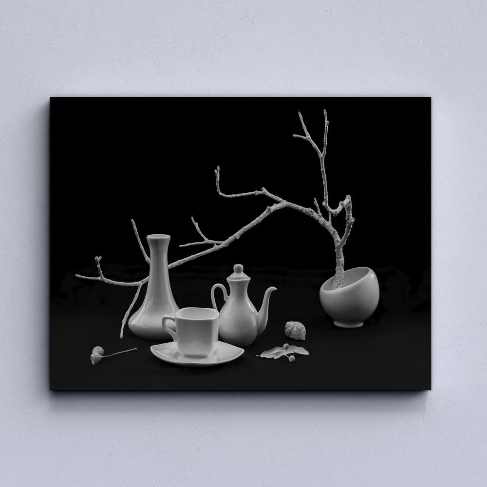 Black And White Etude Canvas