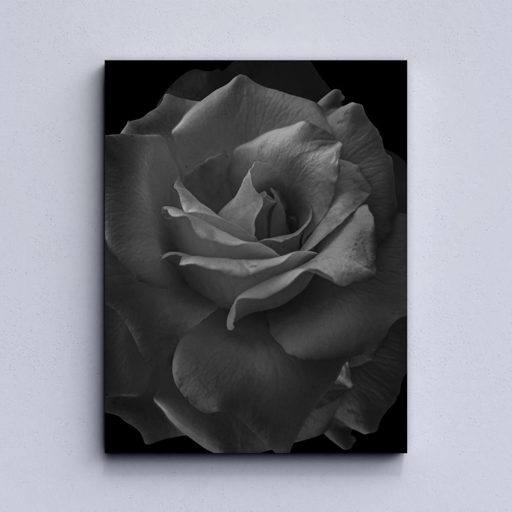 Toile Rose Noire