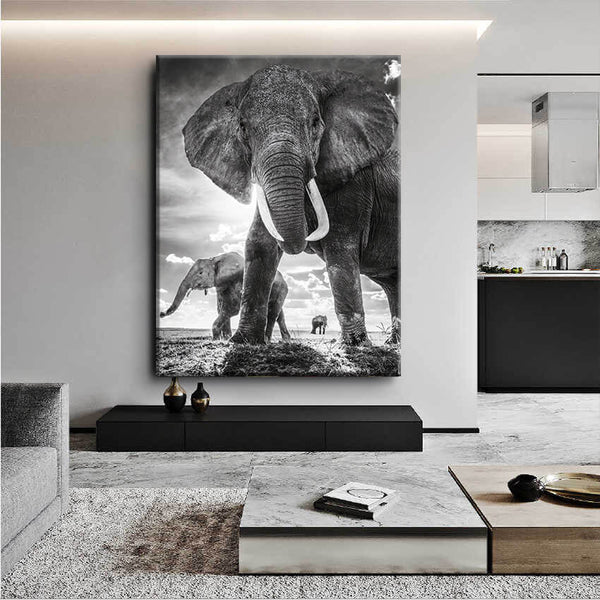 Gray Elephants Canvas