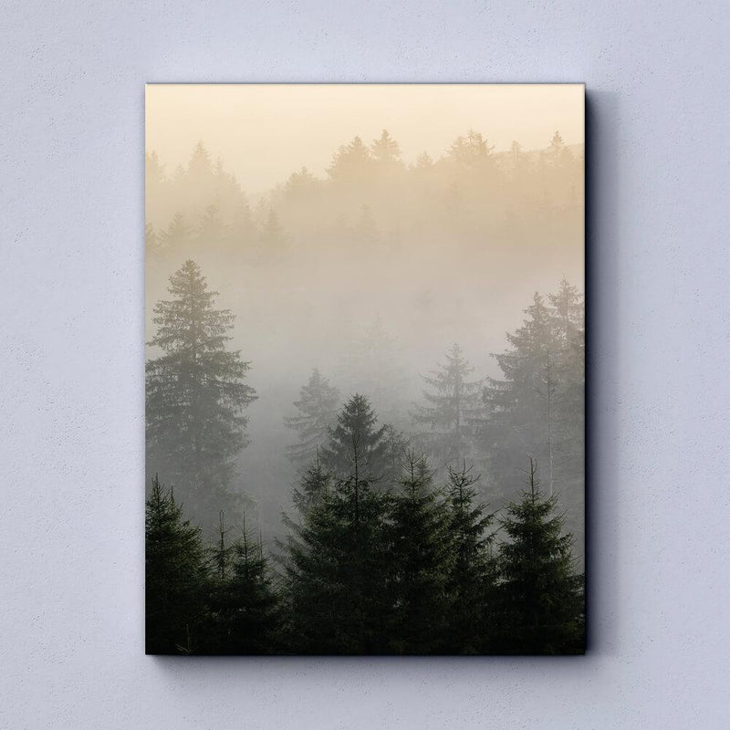 Forest Canvas
