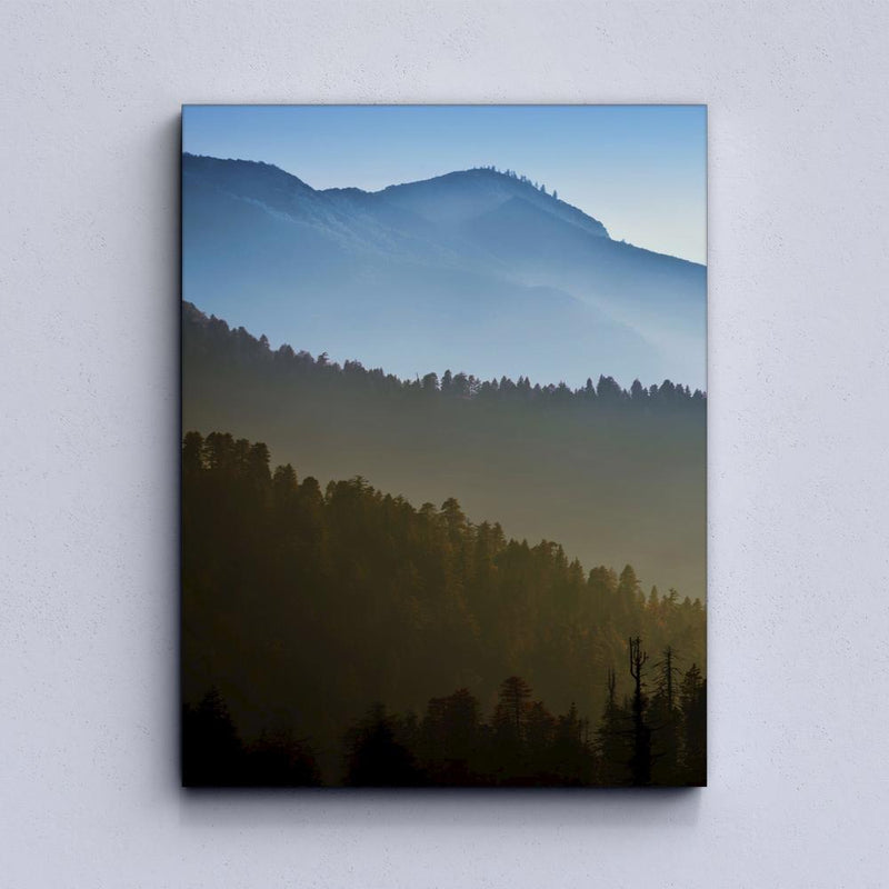 Forest in fog Canvas