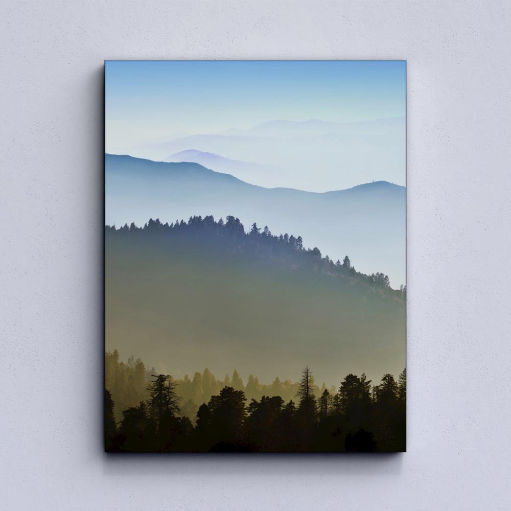 Forest in fog Canvas