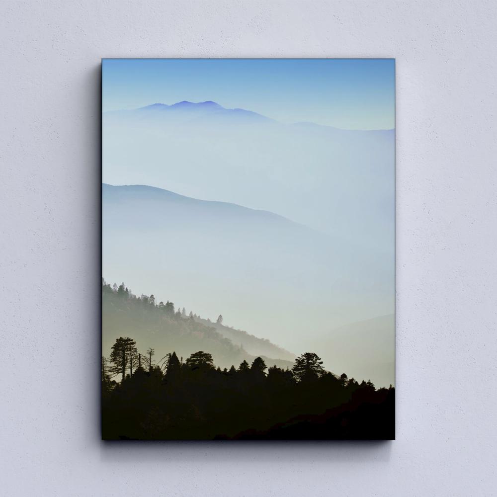 Forest in fog Canvas