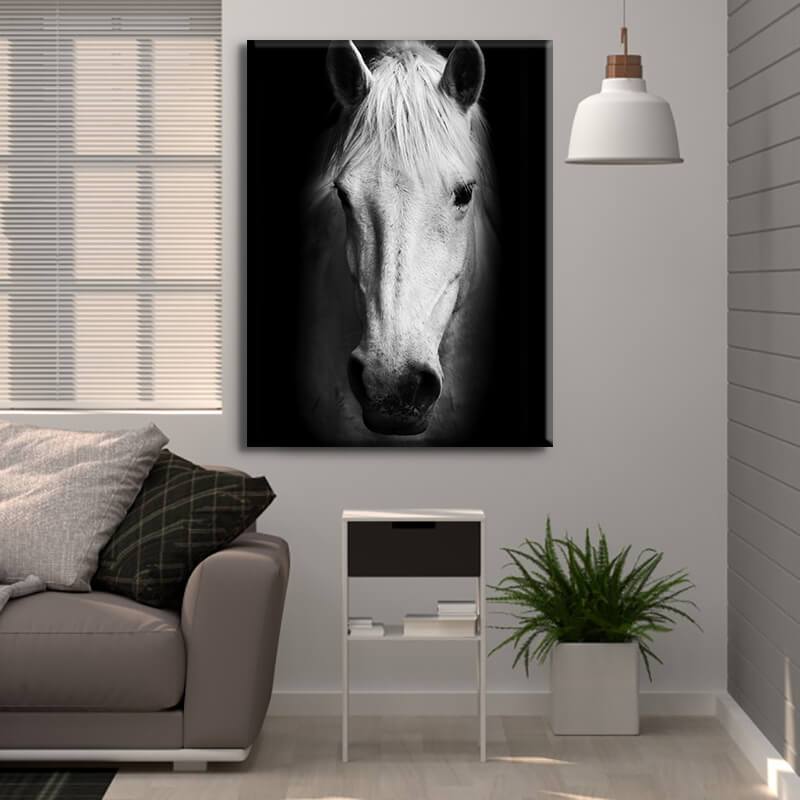 White Horse Canvas