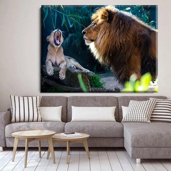 Lion Cub Canvas