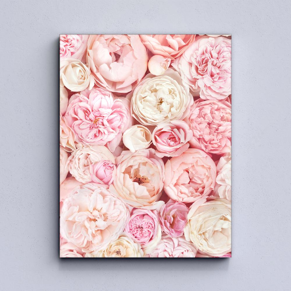 Peonies Canvas