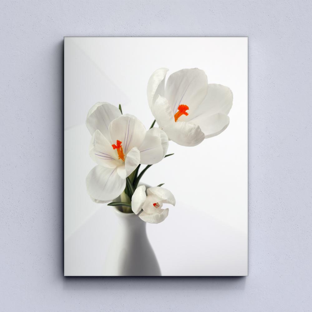 Snowdrop flowers Canvas