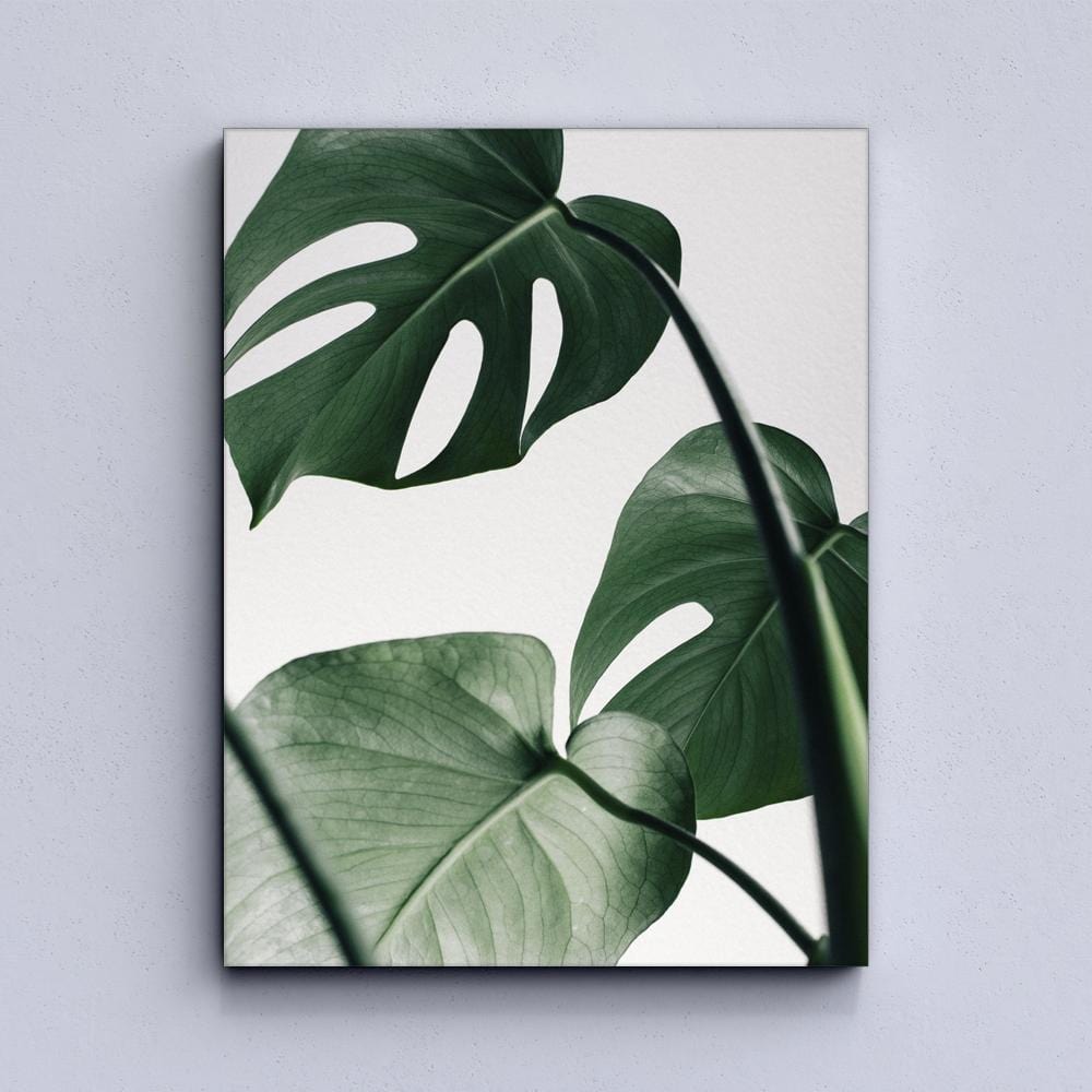 Tropical leaf Canvas