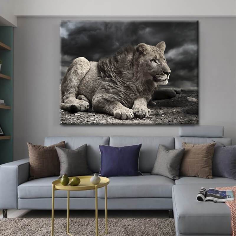 Fog Lion Canvas