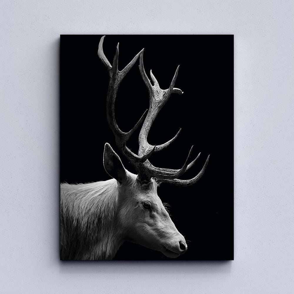 Black Deer Canvas