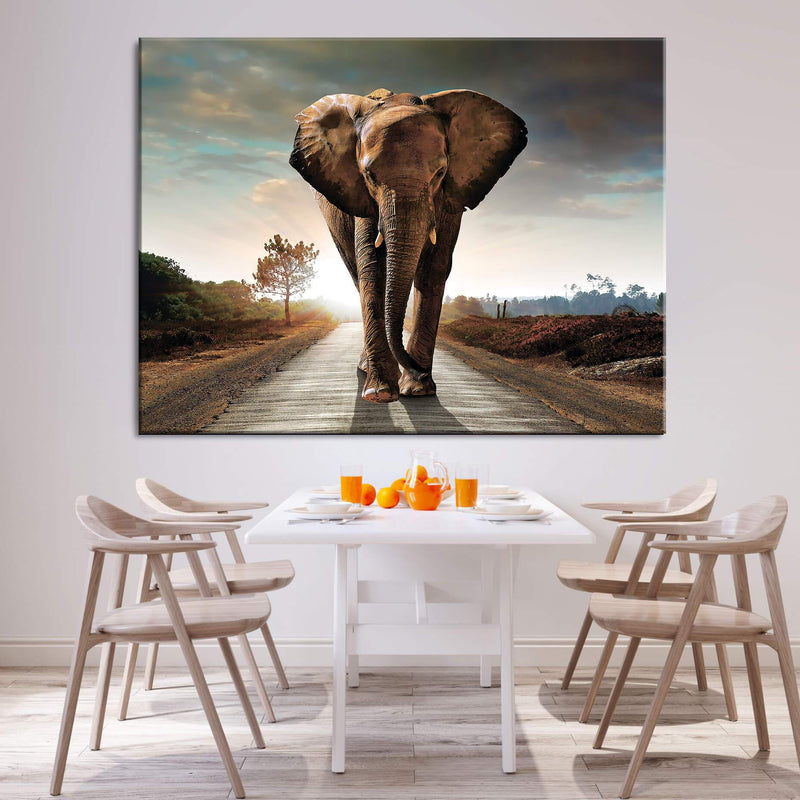 Road for Elephant Canvas
