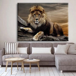Sunset Lion Canvas