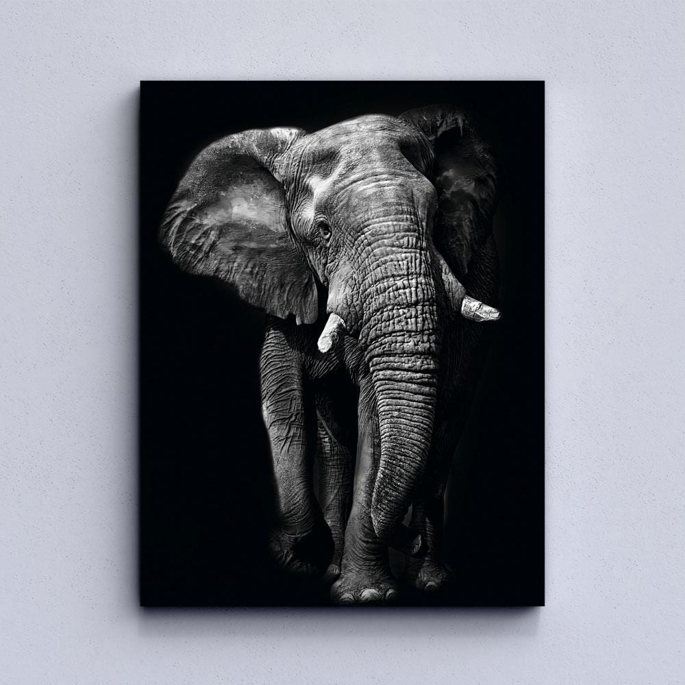 Toile Éléphant Noir