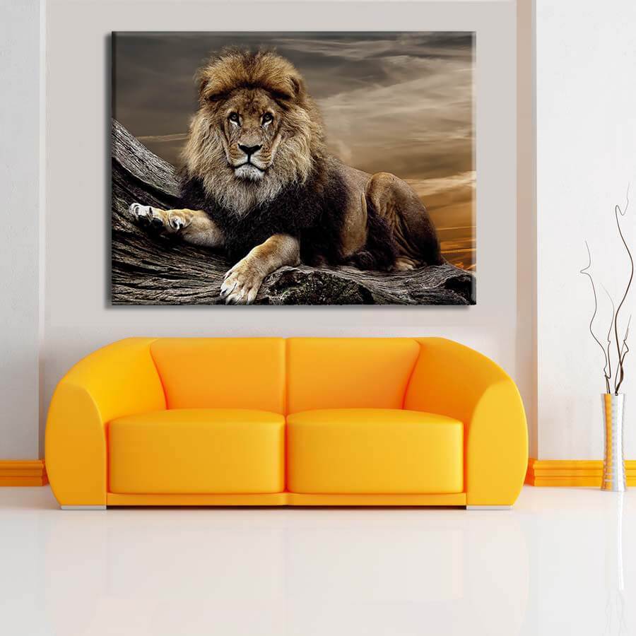 Sunset Lion Canvas