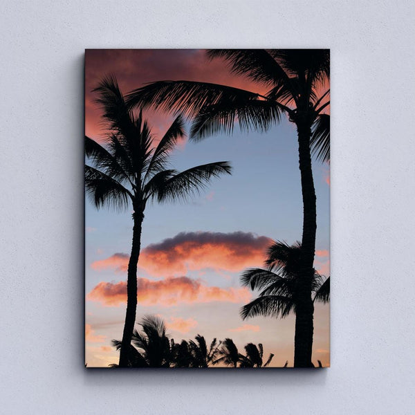 Palm Canvas
