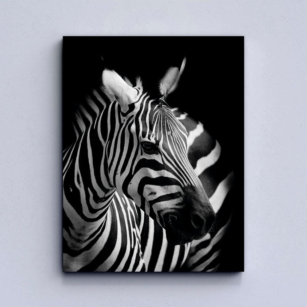 White Zebra Canvas